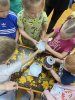 Охрана зрения детей дошкольного возраста фото 3