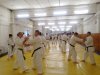Международный семинар по Годзю-рю каратэ прошел в Кирове под руководством известных мастеров фото 1