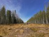 Весенний этап Вахты Памяти принес отряду «Фронт» важные находки фото 3